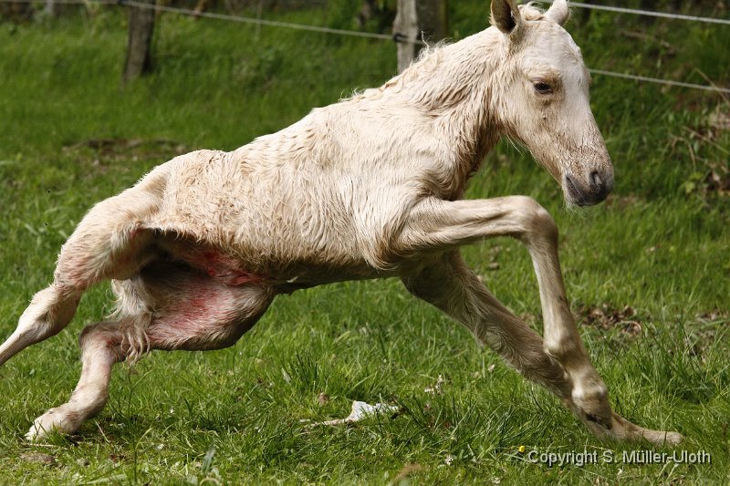 Hjoerdis 22 Min alt (6).JPG